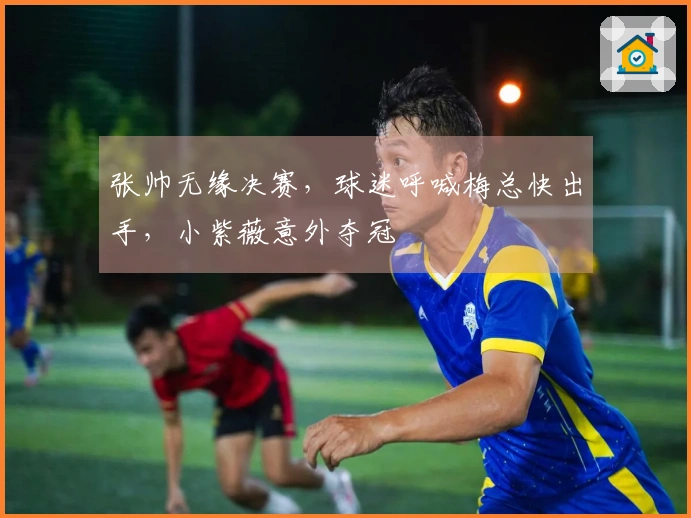 张帅无缘决赛，球迷呼喊梅总快出手，小紫薇意外夺冠