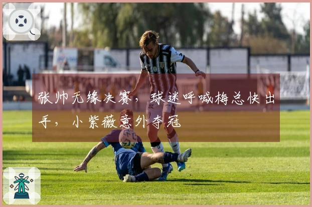 张帅无缘决赛，球迷呼喊梅总快出手，小紫薇意外夺冠